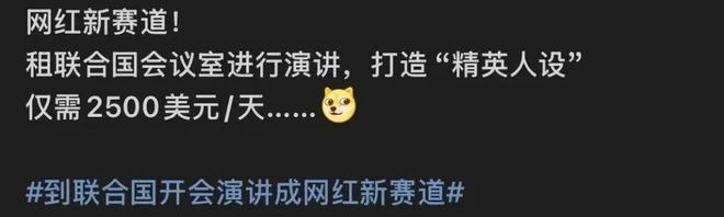 假名媛们“攻占”联合国为了涨粉丢人丢到国外去了(图4)