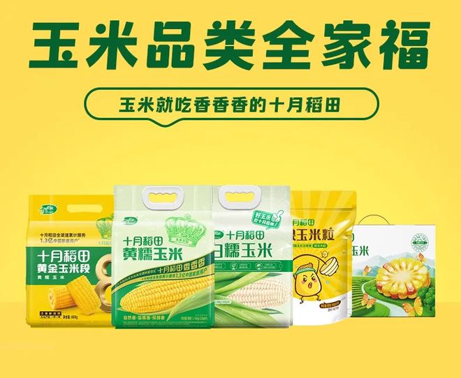 三得利、霸王茶姬、农夫山泉…我们研究了100个全球品牌探寻增长密码(图25)